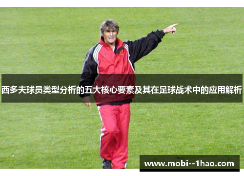 西多夫球员类型分析的五大核心要素及其在足球战术中的应用解析