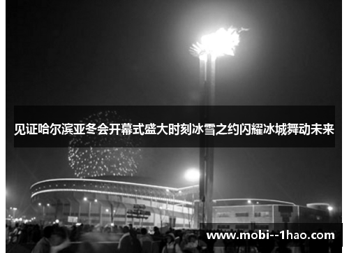 见证哈尔滨亚冬会开幕式盛大时刻冰雪之约闪耀冰城舞动未来 见证哈尔滨亚冬会开幕式盛大时刻冰雪之约闪耀冰城舞动未来