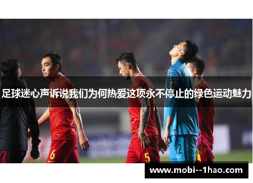 足球迷心声诉说我们为何热爱这项永不停止的绿色运动魅力 足球迷心声诉说我们为何热爱这项永不停止的绿色运动魅力