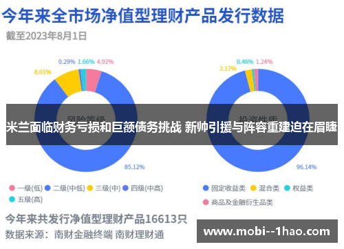 米兰面临财务亏损和巨额债务挑战 新帅引援与阵容重建迫在眉睫 米兰面临财务亏损和巨额债务挑战 新帅引援与阵容重建迫在眉睫