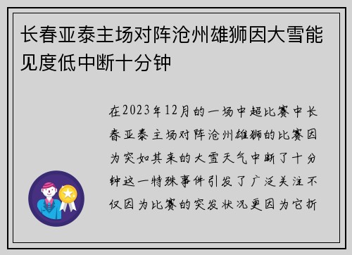 长春亚泰主场对阵沧州雄狮因大雪能见度低中断十分钟